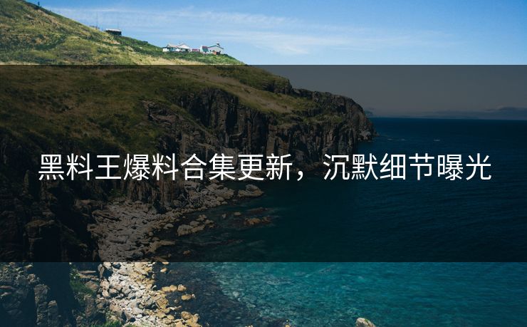 黑料王爆料合集更新，沉默细节曝光
