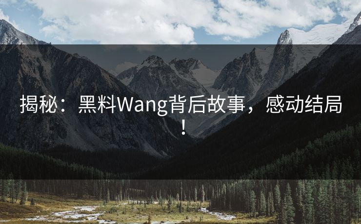 揭秘：黑料Wang背后故事，感动结局！