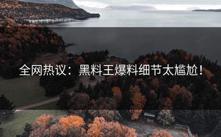 全网热议：黑料王爆料细节太尴尬！