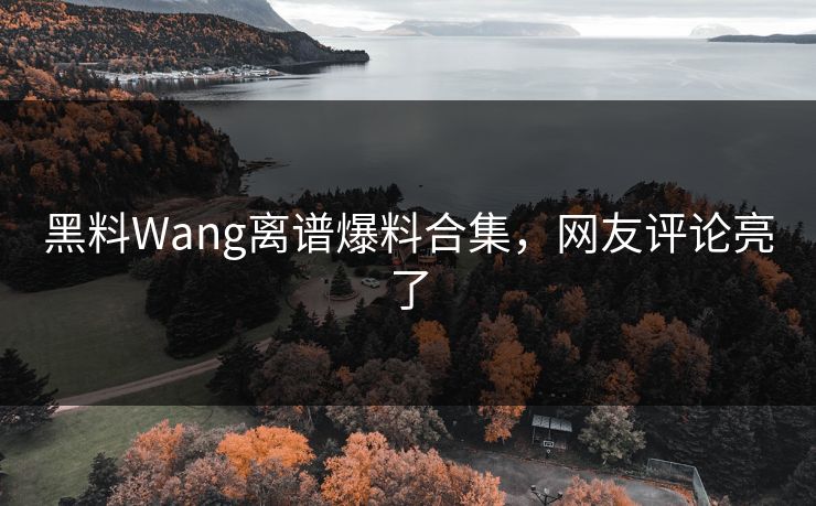黑料Wang离谱爆料合集，网友评论亮了