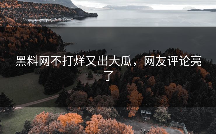 黑料网不打烊又出大瓜，网友评论亮了