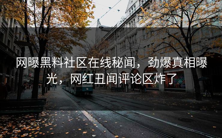 网曝黑料社区在线秘闻，劲爆真相曝光，网红丑闻评论区炸了
