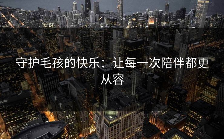 守护毛孩的快乐：让每一次陪伴都更从容