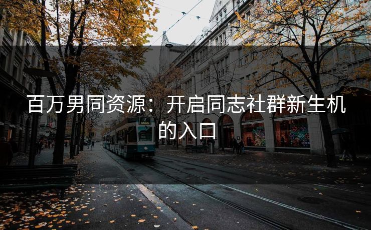 百万男同资源：开启同志社群新生机的入口